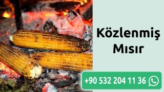 Közlenmiş Mısır